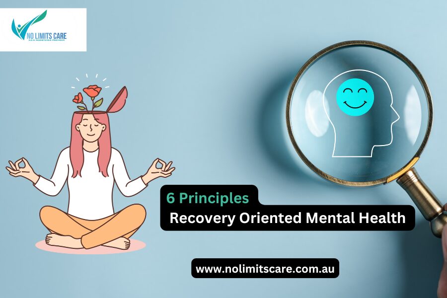 6 Principles of Recovery-Oriented Mental Health for psychosocial disability support.